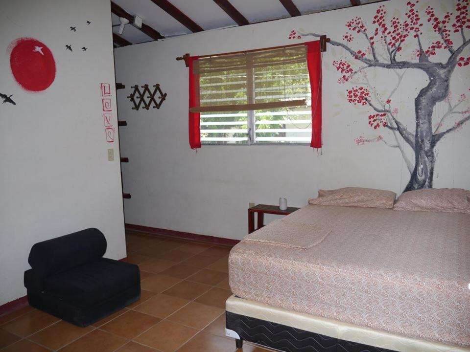 Transito Free Spirit Hostel المظهر الخارجي الصورة