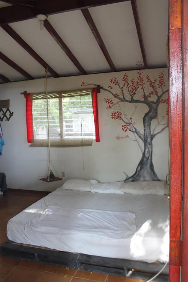 Transito Free Spirit Hostel المظهر الخارجي الصورة